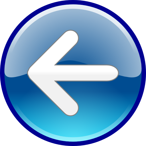 Windows Media Player Back Button