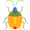 Insect