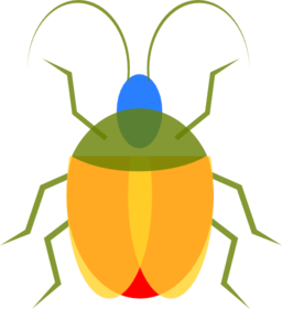 Insect