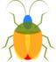 Insect