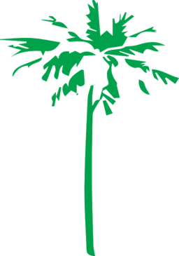 Palm