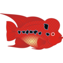 Flowerhorn Fish