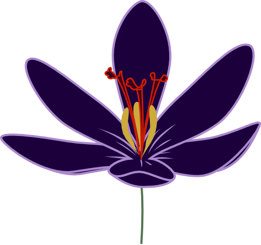 Crocus Blossom