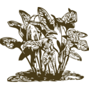 download Tropical Plants clipart image with 270 hue color