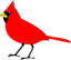 Cardinal Remix 2