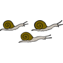 download 3 Snails clipart image with 0 hue color