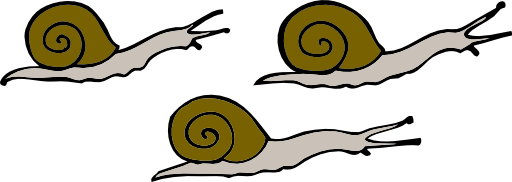 3 Snails