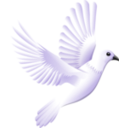download Peace clipart image with 45 hue color