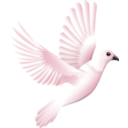 download Peace clipart image with 135 hue color
