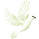 download Peace clipart image with 225 hue color