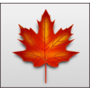 Maple Leaf