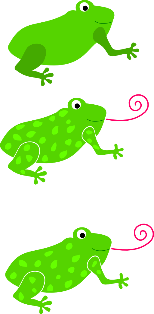 Frog Granota Grenouille