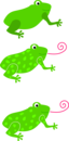 Frog Granota Grenouille
