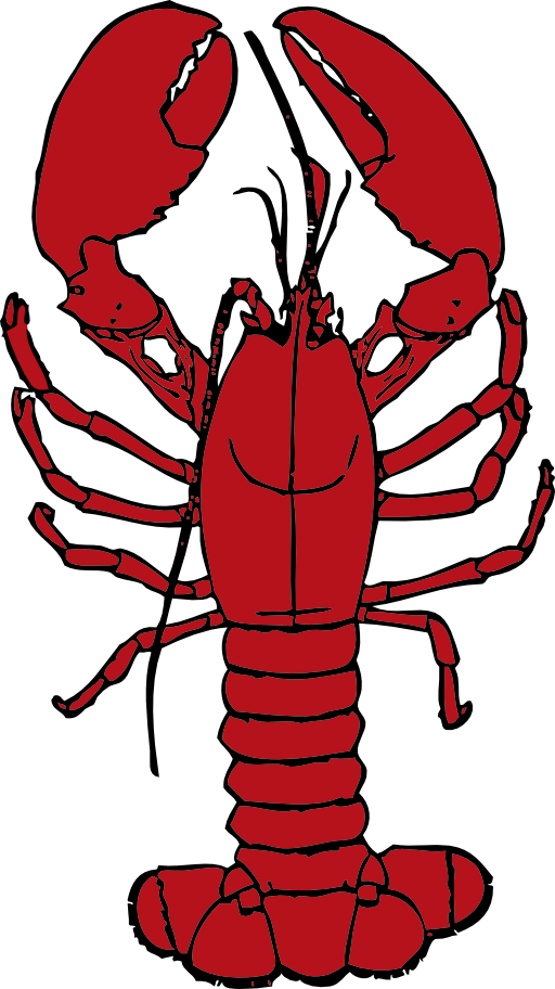 Lobster