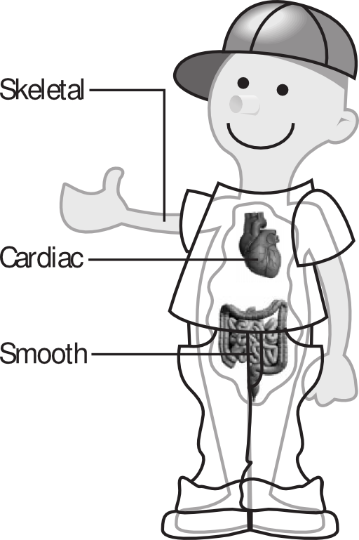 58294main The Brain In Space Page 52 Body Transparent Kid