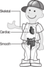 58294main The Brain In Space Page 52 Body Transparent Kid