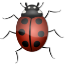 Ladybug