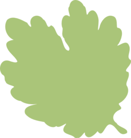 Leaf 06