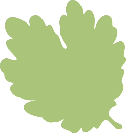 Leaf 06