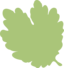 Leaf 06