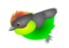 Finch