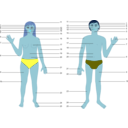 download Human Body Man And Woman With Numbers clipart image with 180 hue color
