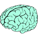 download Brain clipart image with 135 hue color