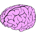 download Brain clipart image with 270 hue color