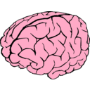 download Brain clipart image with 315 hue color