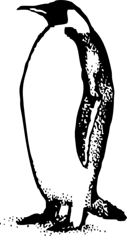 Penguin