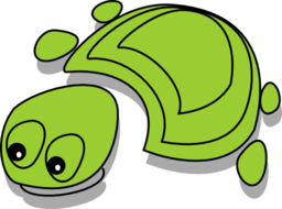 Green Tortoise Cartoon