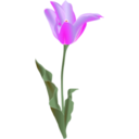 download Tulip clipart image with 315 hue color