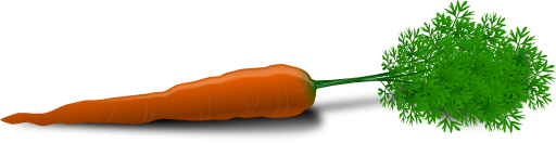 Carrot