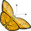 Butterfly 2