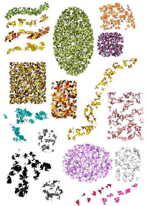 Leaves
