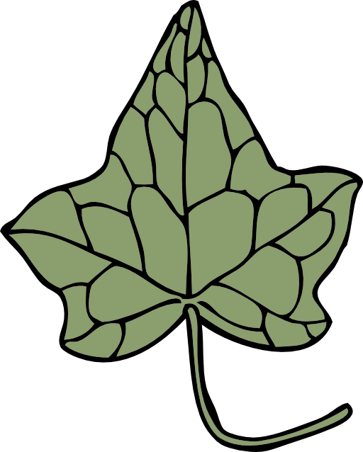 Ivy Leaf 5