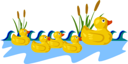 Rubber Duck Family