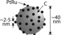 Ptru Catalyst Supported On Carbon