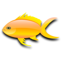download Pez Dorado Gold Fish clipart image with 0 hue color
