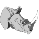 Architetto Rhinoceros 1