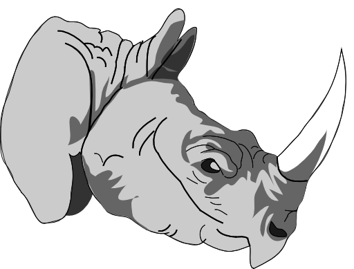 Architetto Rhinoceros 1