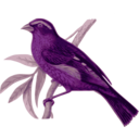 download Carpodacus Vinaceus Male clipart image with 270 hue color