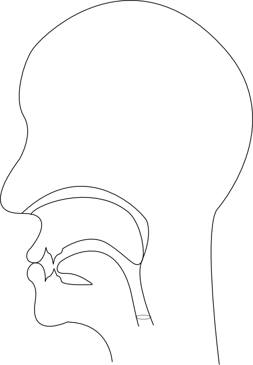 Midsagittal P Voiceless Bilabial Plosive