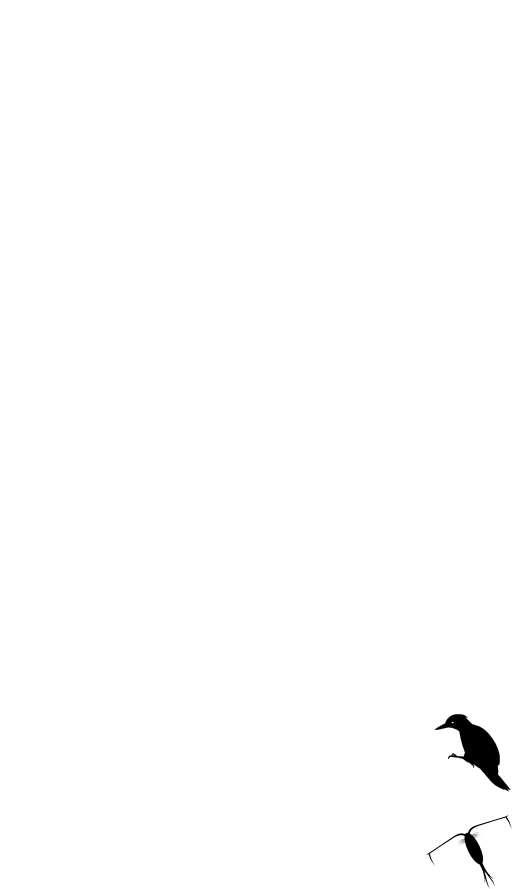 Yaffle Silhouette