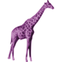 download Jirafa clipart image with 270 hue color