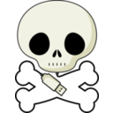 Logo Skull Hyf