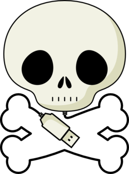 Logo Skull Hyf