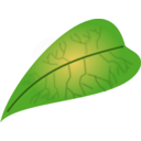 Green Leaf