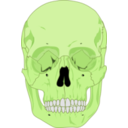 download Human Skull clipart image with 45 hue color