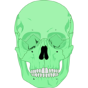 download Human Skull clipart image with 90 hue color